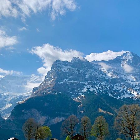 Eiger, Jungfrau, Luxury Garden Apartment Grindelwald Buitenkant foto