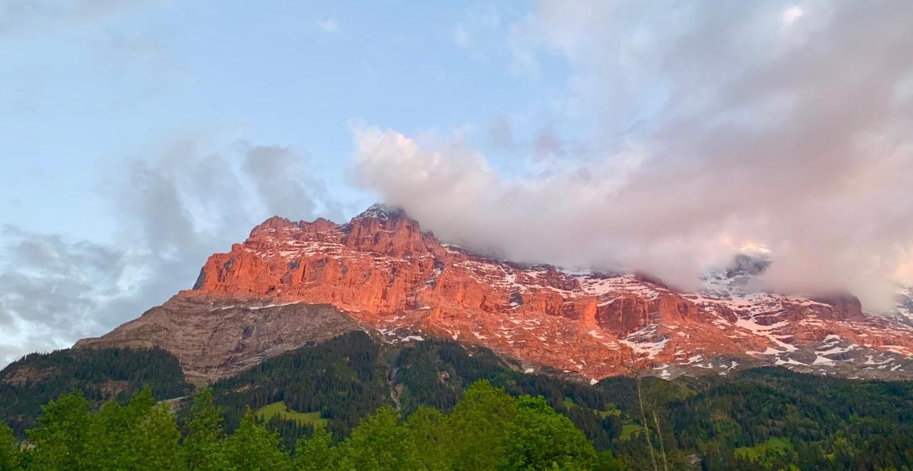 Eiger, Jungfrau, Luxury Garden Apartment Grindelwald Buitenkant foto