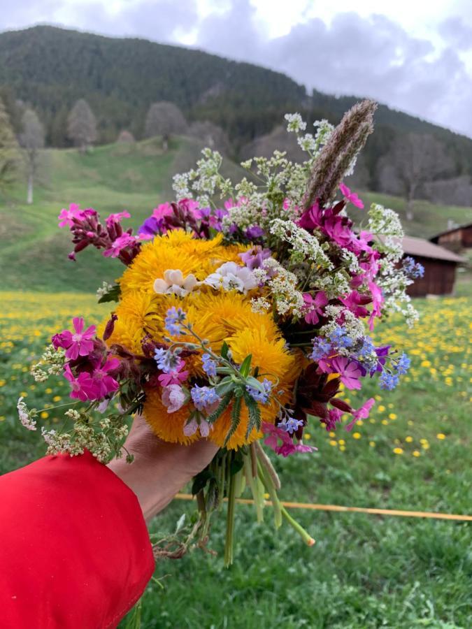 Eiger, Jungfrau, Luxury Garden Apartment Grindelwald Buitenkant foto